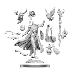 DND FRAMEWORKS: HUMAN DRUID FEMALE